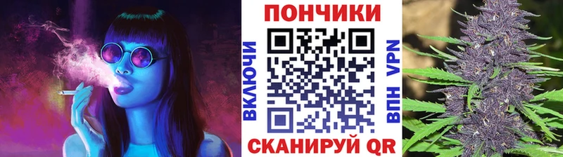 Каннабис гибрид  Алушта 